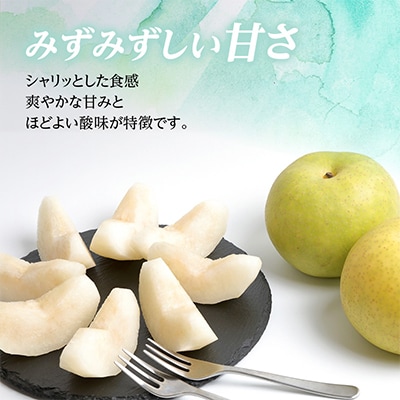 二十世紀梨 4.5kg(秀12～14玉)