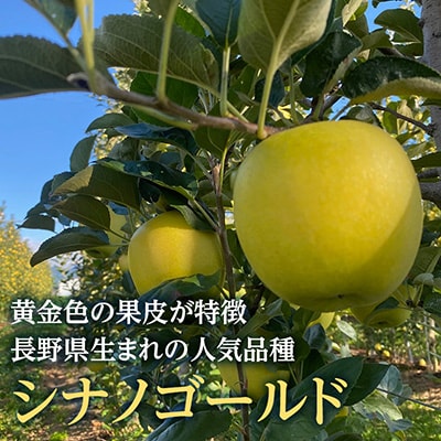 シナノゴールド 4.5kg(秀14～16玉)