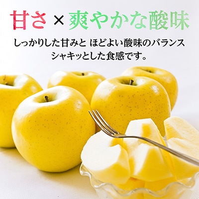 シナノゴールド 4.5kg(秀14～16玉)