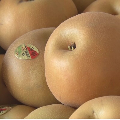 南水梨 4.5kg(秀10～12玉)