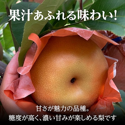 南水梨 4.5kg(秀10～12玉)