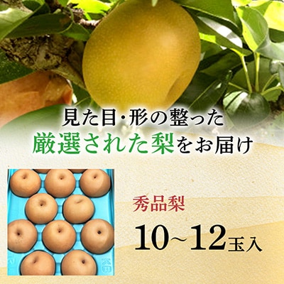 南水梨 4.5kg(秀10～12玉)