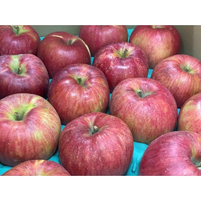 サンふじ 家庭用 9kg(赤秀13～14度の糖度保障)
