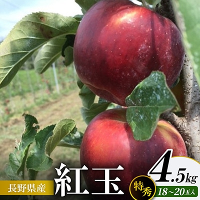 紅玉 4.5kg(特秀18～20玉)