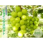 中央アルプス山麓のシャインマスカット　800g