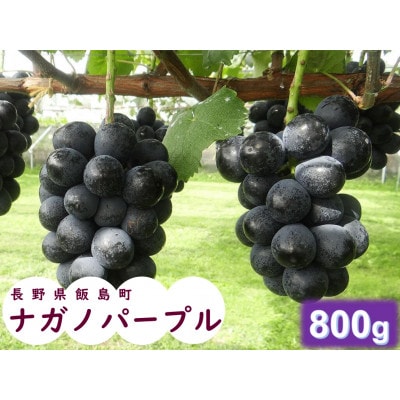 中央アルプス山麓のナガノパープル　800g