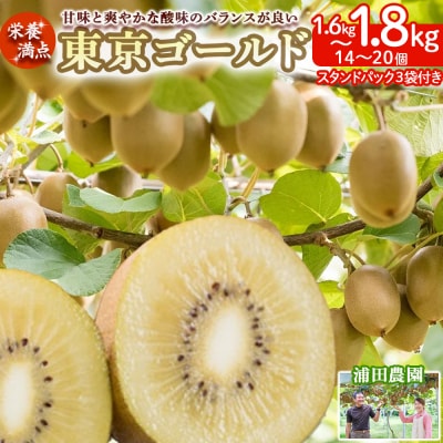栄養満点!東京ゴールド(キウイフルーツ) 14～20個1.6kg～1.8kg　LB13