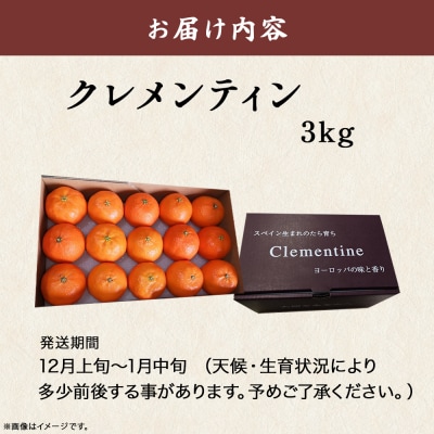 スペイン生まれのたら育ちクレメンティン 3kg　M85
