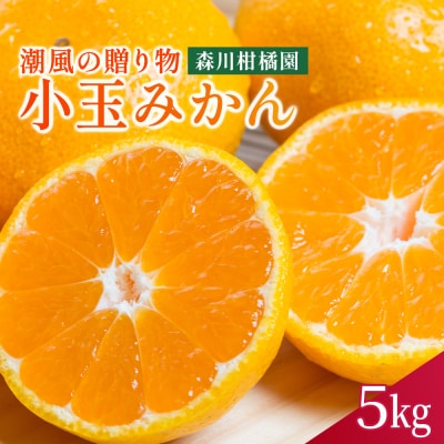 潮風の贈り物 みかん(小玉)5kg　L18
