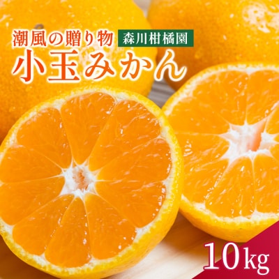 潮風の贈り物 みかん(小玉)10kg　NB27
