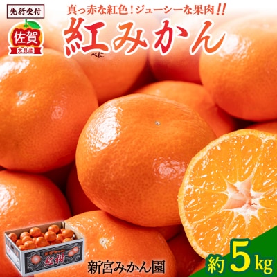 新宮みかん園 紅みかん5kg　N59