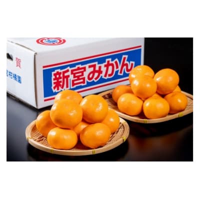 新宮みかん園 完熟早生みかん(S～L)5kg　L54