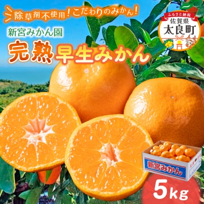 新宮みかん園 完熟早生みかん(S～L)5kg　L54