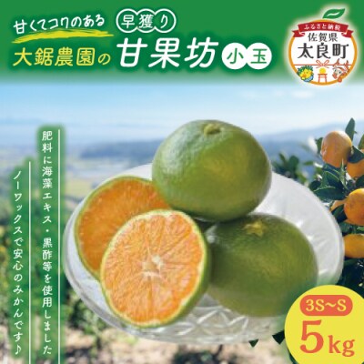 大鋸農園の早穫り甘果坊(小玉) 5kg　LB10