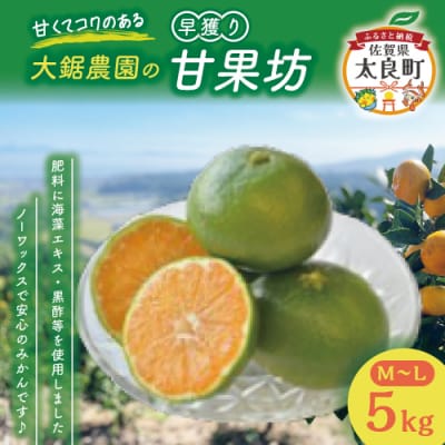 大鋸農園の早穫り甘果坊 5kg　LB11