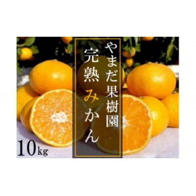 やまだ果樹園の完熟みかん 10kg　N179