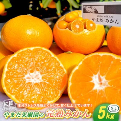 やまだ果樹園の完熟みかん 5kg　L32