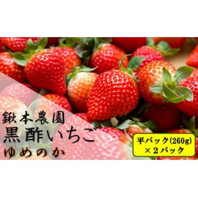 鍬本農園の黒酢いちご(ゆめのか) 平パック260g×2パック　N243
