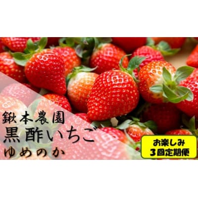 鍬本農園の黒酢いちご(ゆめのか) お楽しみ3回定期便　QH2