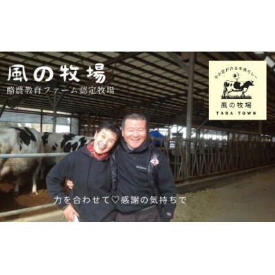 風の牧場「牛の匠が作る本格カレー」 200g×6個(箱入り)　O170