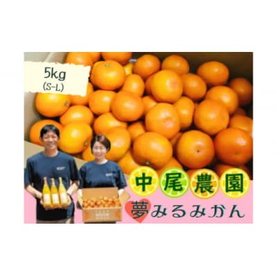 中尾農園の夢みるみかん(S-L) 5kg　NA10