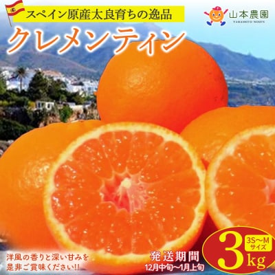 山本農園のクレメンティン 3kg　L41