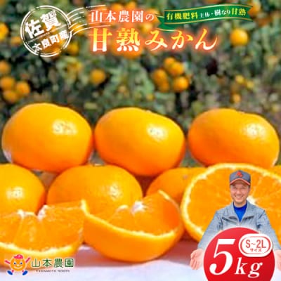 山本農園の甘熟みかん 5kg　L13