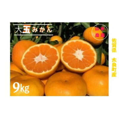 山本農園の大玉みかん 9kg　N31