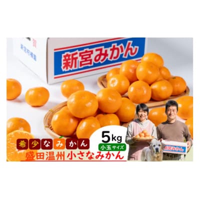 新宮みかん園 希少なみかん盛田温州の小さなみかん5kg　L141