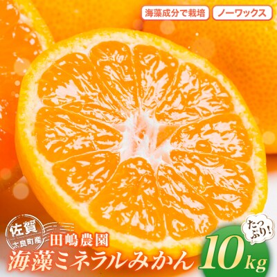 海藻ミネラルみかん 10kg　N40