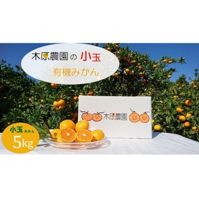 木原農園の小玉有機みかん 5kg　L46
