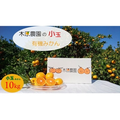 木原農園の小玉有機みかん 10kg　NB15