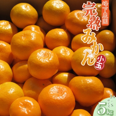 峰下農園の完熟みかん(小玉) 5kg　L124