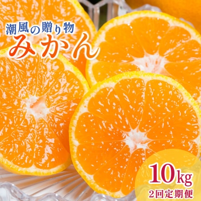 潮風の贈り物(みかん)【2回定期便】 10kg　P82