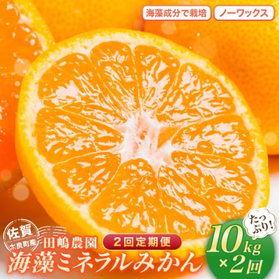 海藻ミネラルみかん 2回定期便10kg　P83