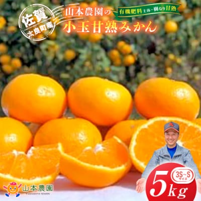 山本農園の小玉甘熟みかん 5kg　L12