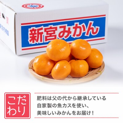 新宮みかん園 希少なみかん盛田温州(S～L)5kg　M73