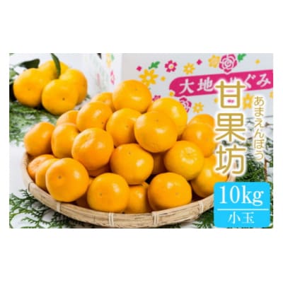 大鋸農園の甘果坊(小玉) 10kg　NB17