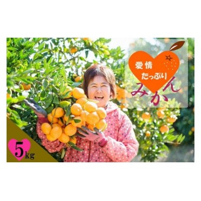 愛情たっぷりたらみかん 5kg　L127
