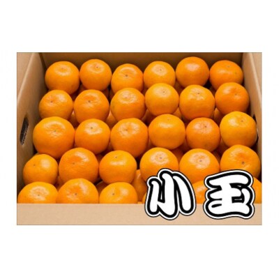 かねひろの黒酢みかん(小玉) 　L39