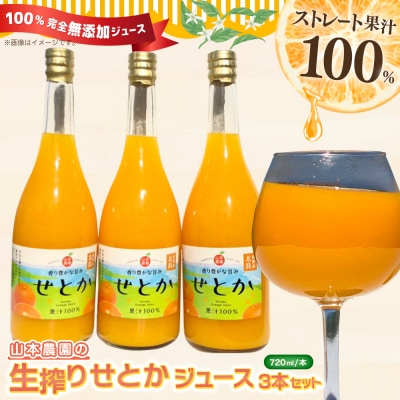 山本農園の生搾りせとか 3本セット　NC13