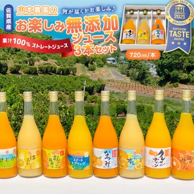 山本農園のお楽しみ無添加ジュース  100%ジュース 無添加ジュース  3本セット　N118