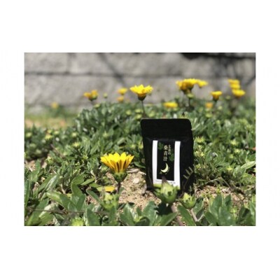 太良の桑青汁 1セット　L116
