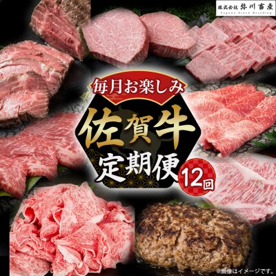 佐賀牛 毎月お楽しみ便 12回コース 定期便 12ヶ月 V2
