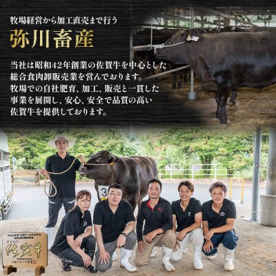 佐賀産和牛 厚切り ロースステーキ   300g(150g×2枚)　O153