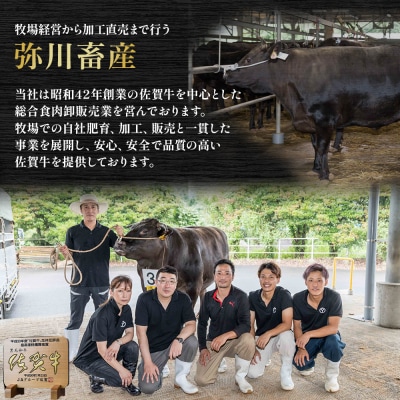 佐賀産和牛 しゃぶしゃぶ500g　O156