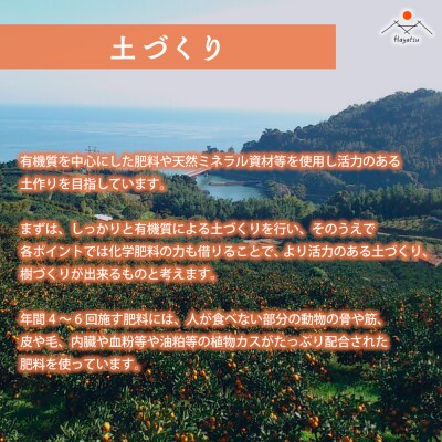 オリジナルジュース2種 4本セット　O92