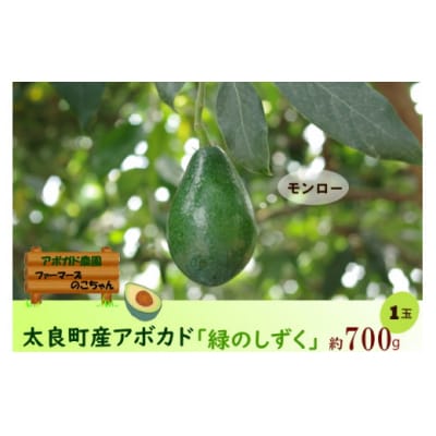 (数量限定)太良町産アボカド「緑のしずく」【品種:モンロー】 700g以上(1玉)　P111