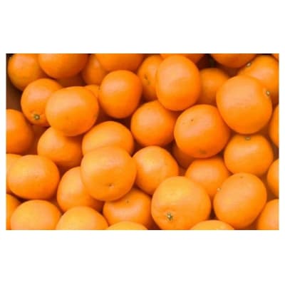 田島柑橘園の味よし小玉 10kg　N12
