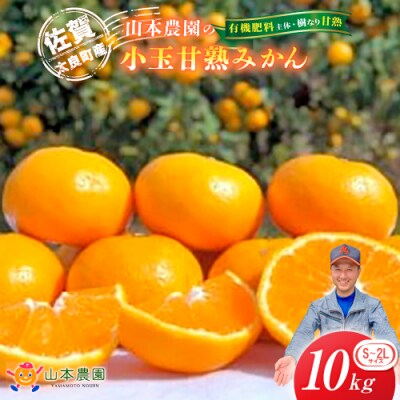 山本農園の甘熟みかん 10kg　N29